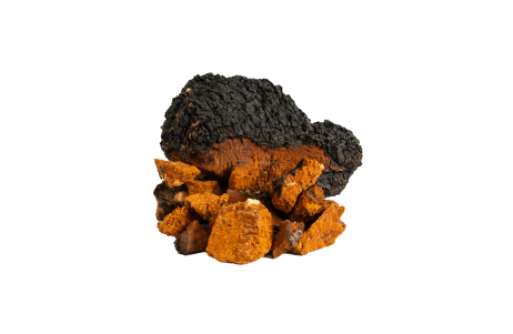 Chaga